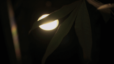 微信圖片_20210616231630.gif