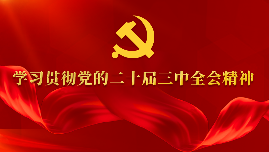 學(xué)習(xí)貫徹黨的二十屆三中全會精神