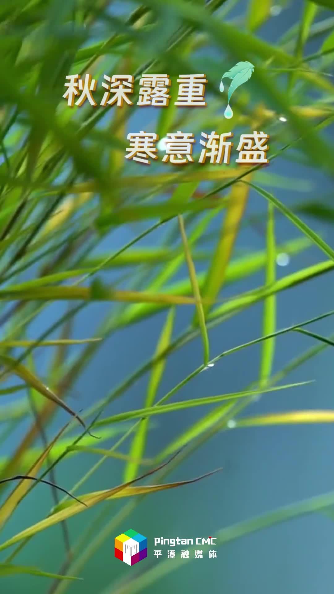24節(jié)氣丨寒露：漫步在平潭，海島秋光無限好