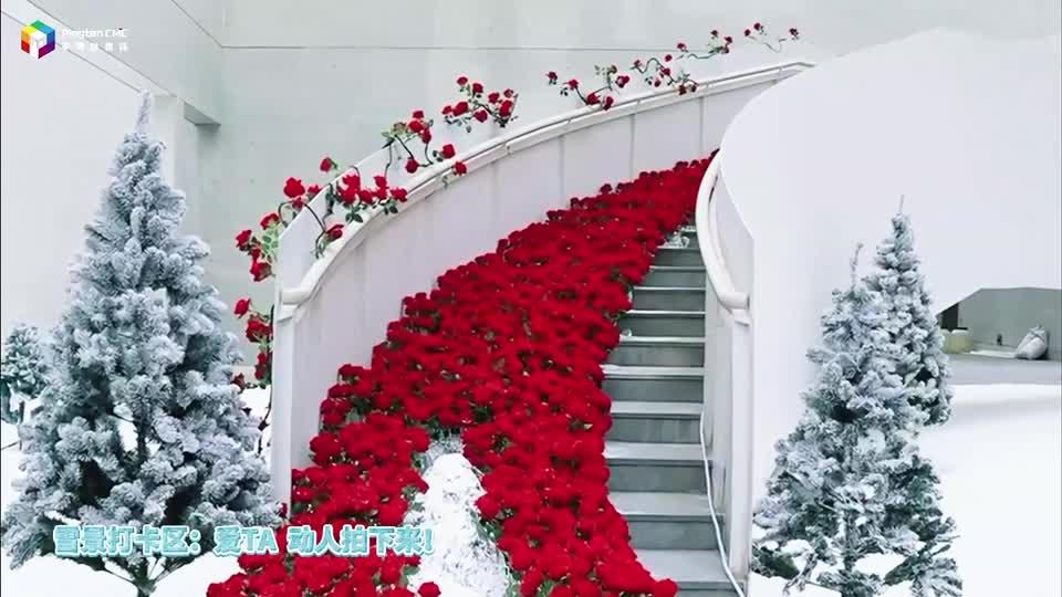跨年，去福建平潭風(fēng)花雪月