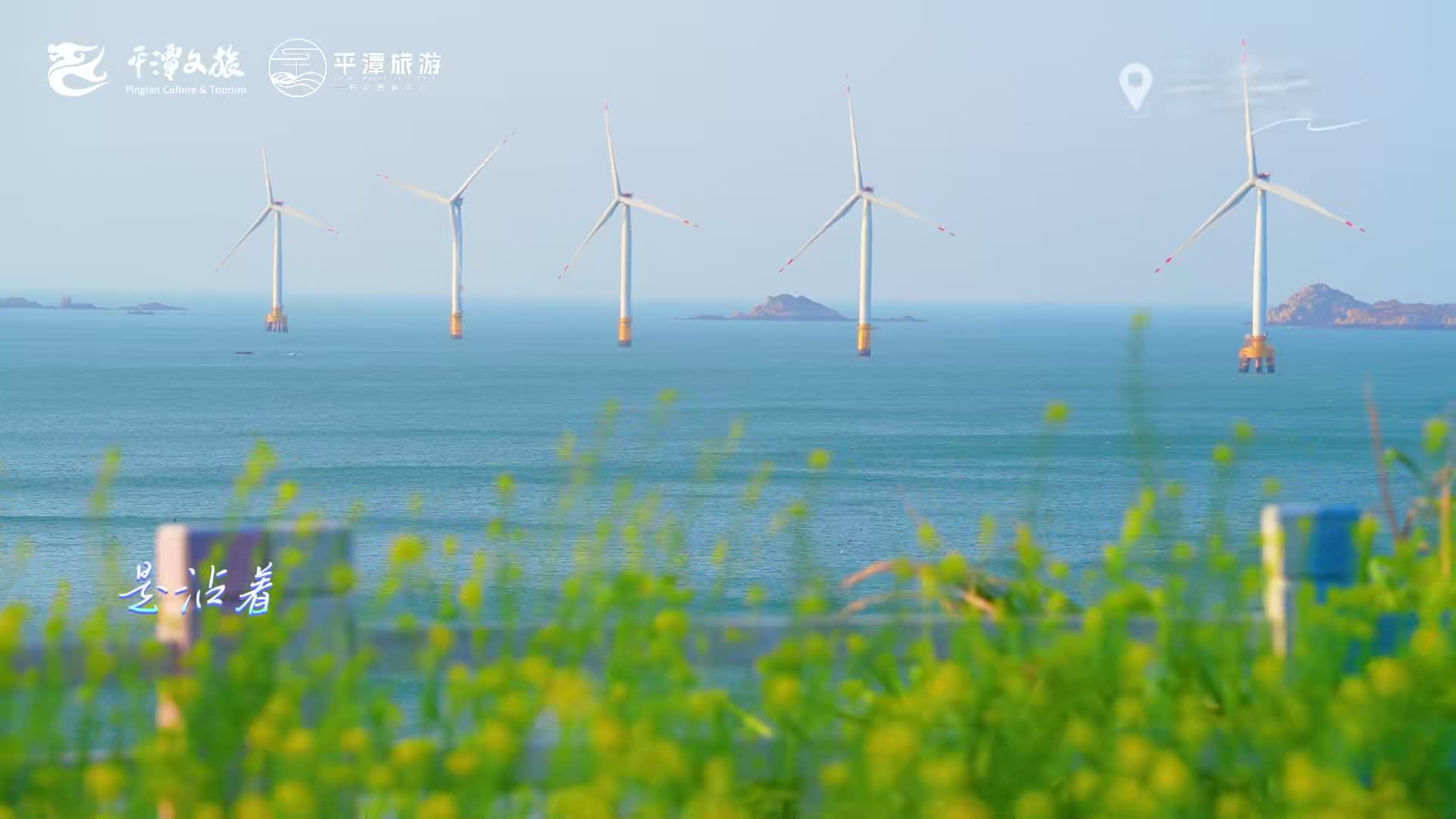 平潭油菜花海，被我發(fā)現(xiàn)了！