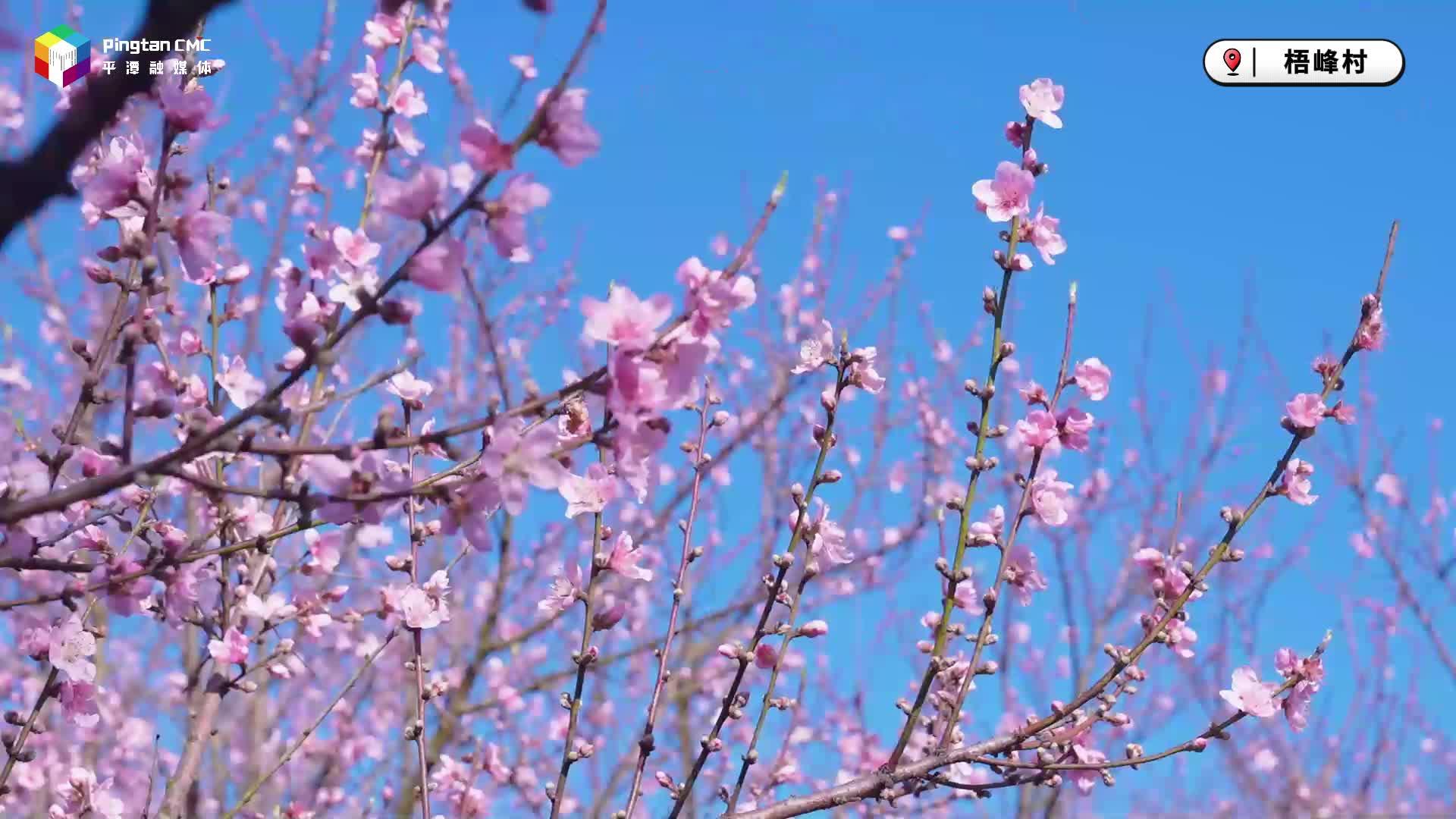 春天，向平潭出發(fā)