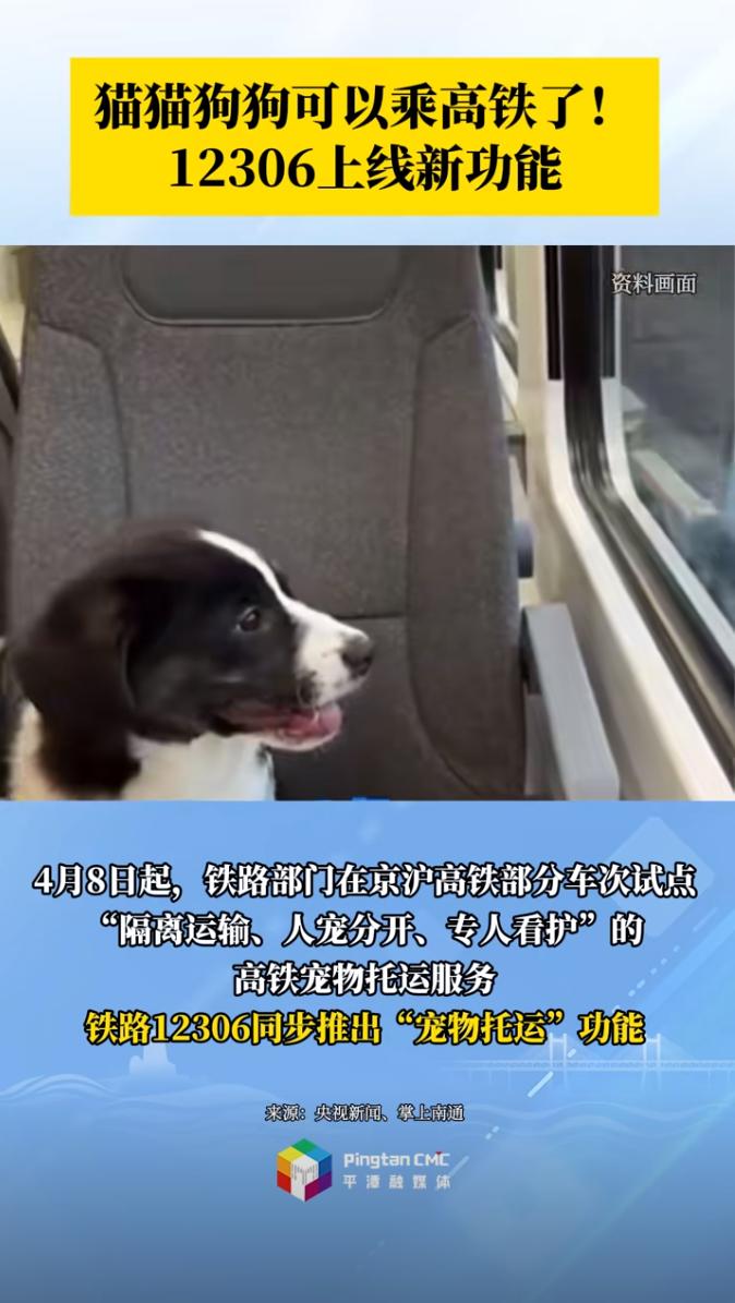 貓貓狗狗可以乘高鐵了！12306上線(xiàn)新功能